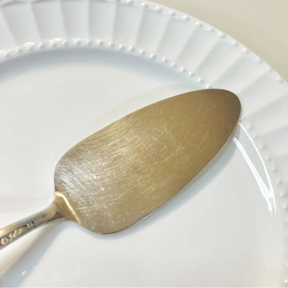 Vintage Coventry Japan JH Bouquet Pattern Flatware Stainless Cake Pie Server